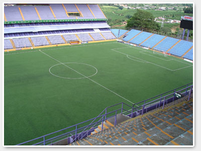 FieldTurf